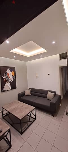 Newly furnished and renovated apartment in the heart of Hamra 0