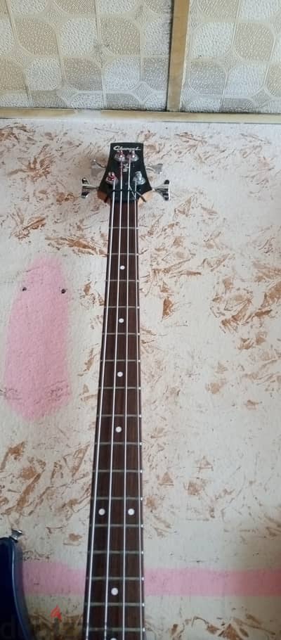 Bass guitar