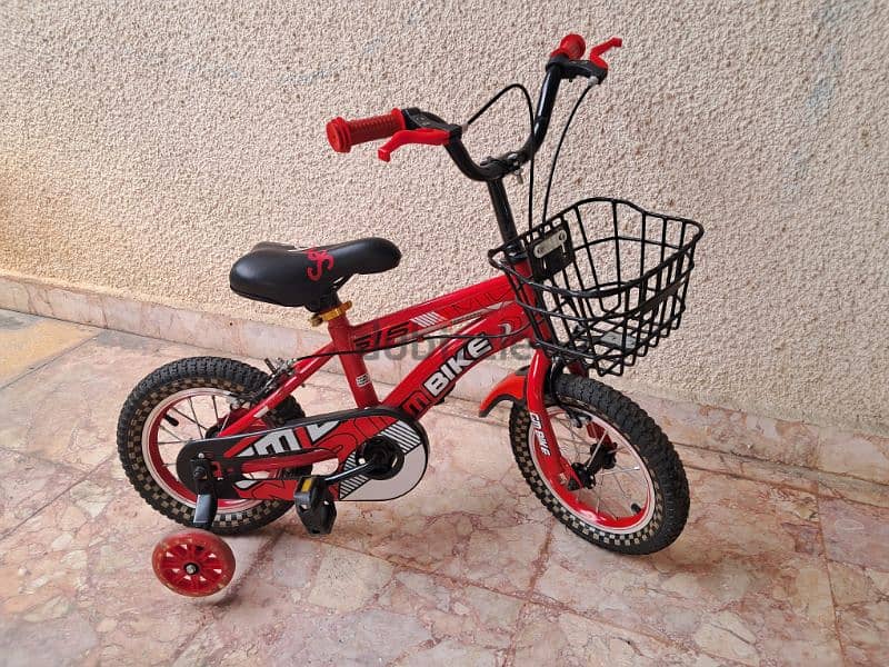 Bicycle 12-inch 3