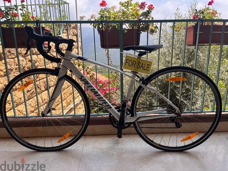 specialized dolce sport 2