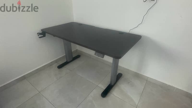 Adjustable Rising Desk 2