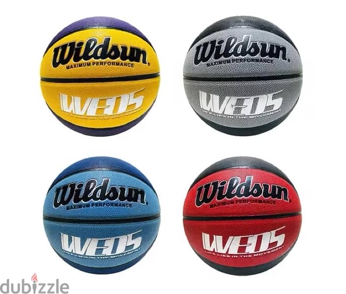 Wildsun Basketball 1