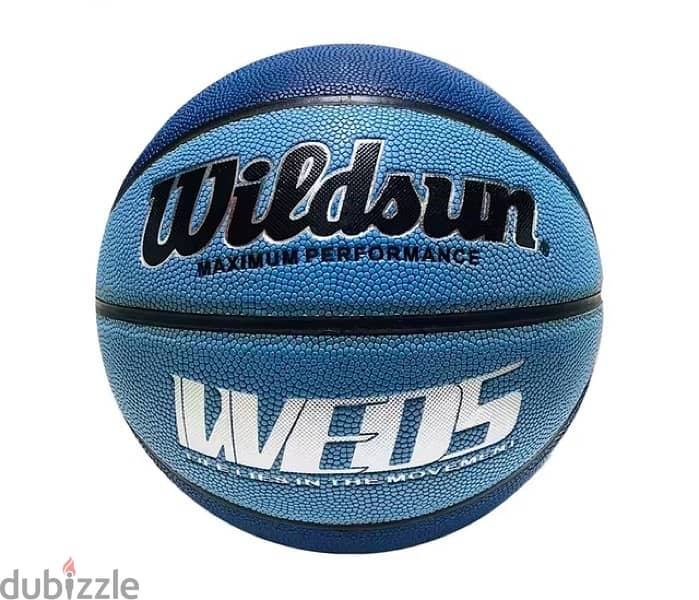 Wildsun Basketball 3