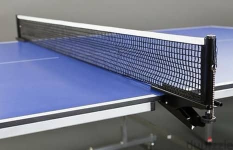 Ping pong stand with net