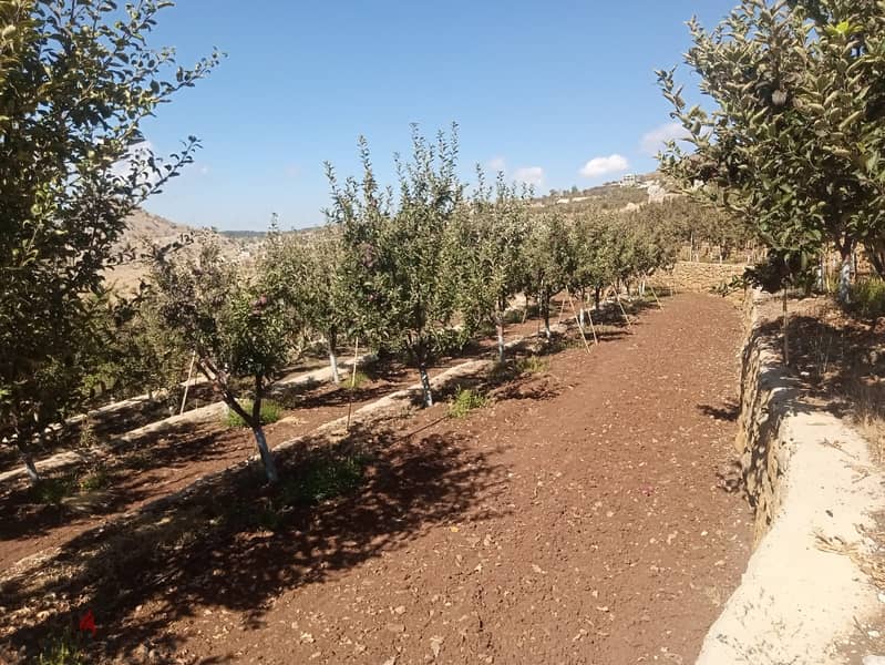 RWB105PK - Standalone house with Land for sale in Tannourine 4