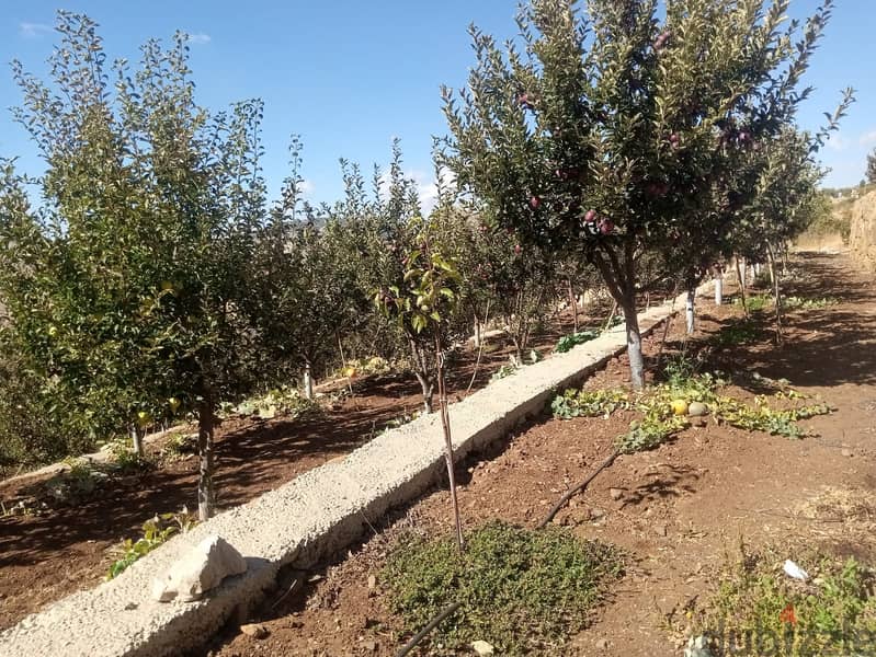 RWB105PK - Standalone house with Land for sale in Tannourine 7