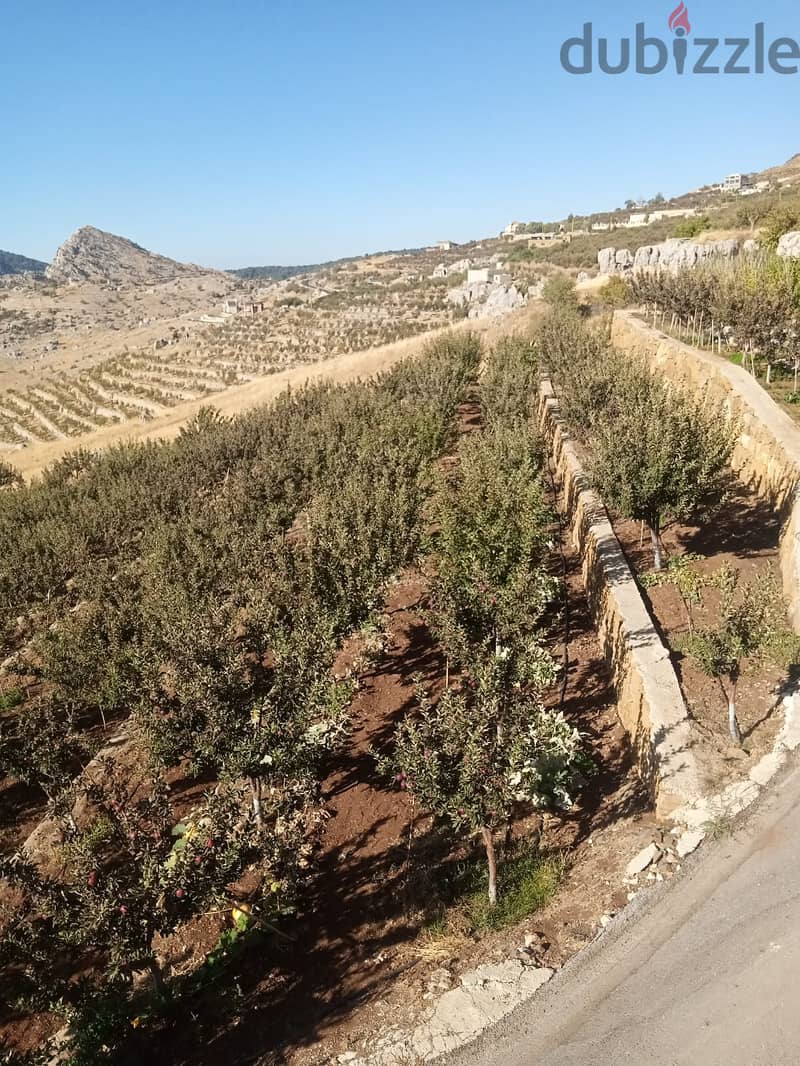 RWB105PK - Standalone house with Land for sale in Tannourine 14