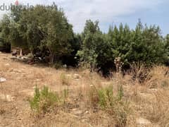 RWB138NK - Land for sale in Amchit Jbeil ( Bnaqra )