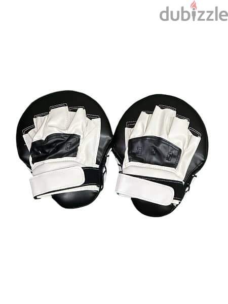 Boxing Target Gloves 2