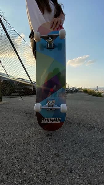 RightLeft Skate Board