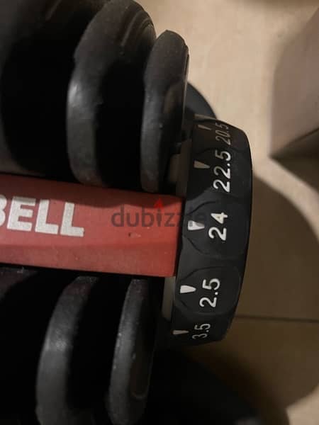 adjustable dumbells 2