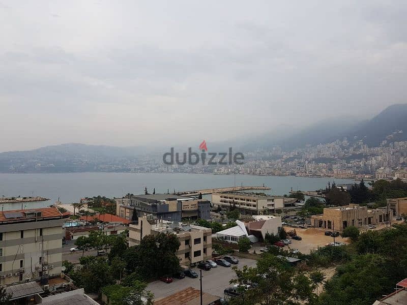 apartment for rent in kaslik 10