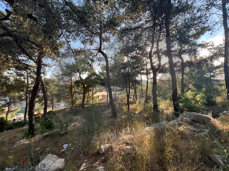 UNIQUE LAND, UNOBSTRUCTED VIEW, Aley, TOWN /عاليه REF#TS112812 2