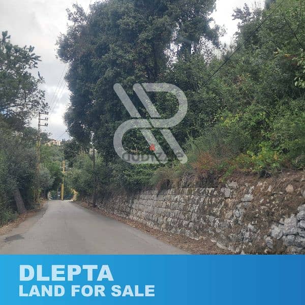 Land for sale at Dlepta - أرض للبيع في دلبتا 1