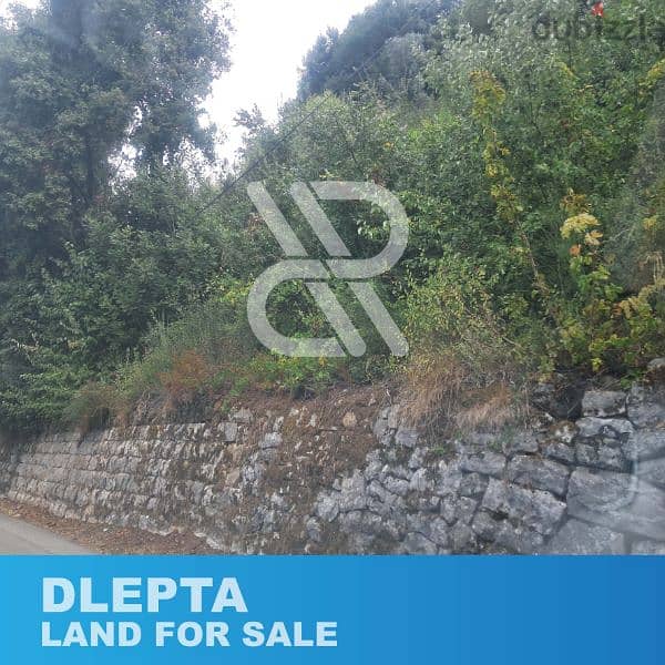 Land for sale at Dlepta - أرض للبيع في دلبتا 2