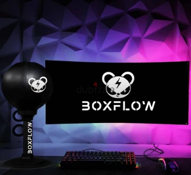 BoxFlow Punching bag 4