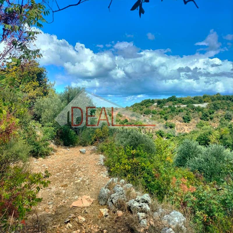 Land for sale in Chikhan Jbeil 4121 sqm ref#PA113 1