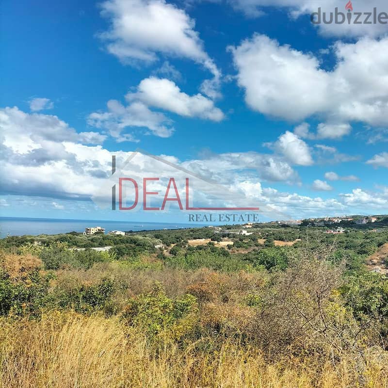 Land for sale in Chikhan Jbeil 4121 sqm ref#PA113 2