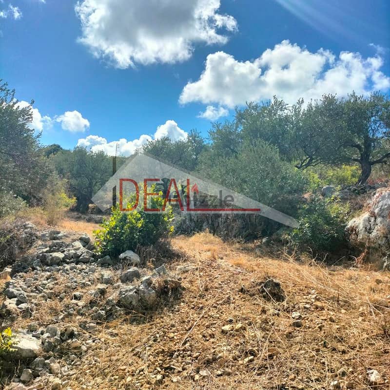 Land for sale in Chikhan Jbeil 4121 sqm ref#PA113 3