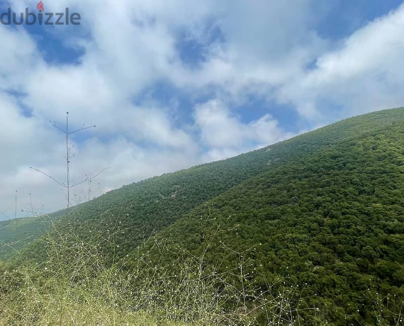 LAND FOR SALE IN BREIJ/بريج REF#RF111882 2