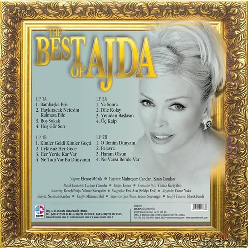 Ajda Pekkan ( 2 LP , RARE EDITION ) 2