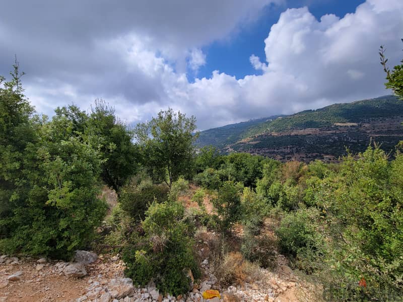 RWB156CA - Land for sale in Jbeil Hsoun 1