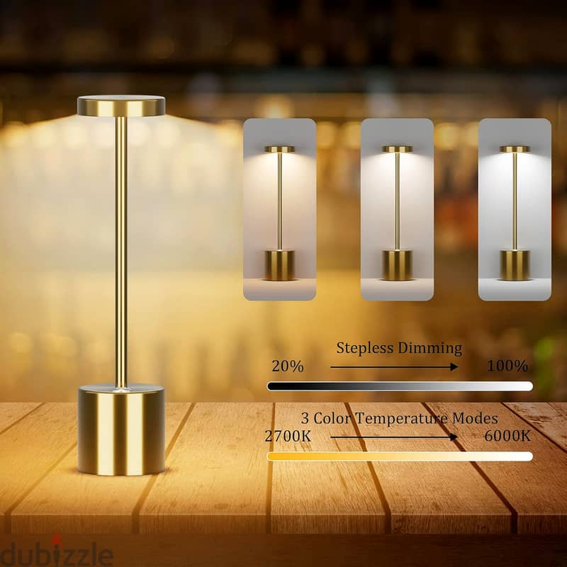 Modern Iron Table Lamp with Rechargeable, Dimmable LED Light 4