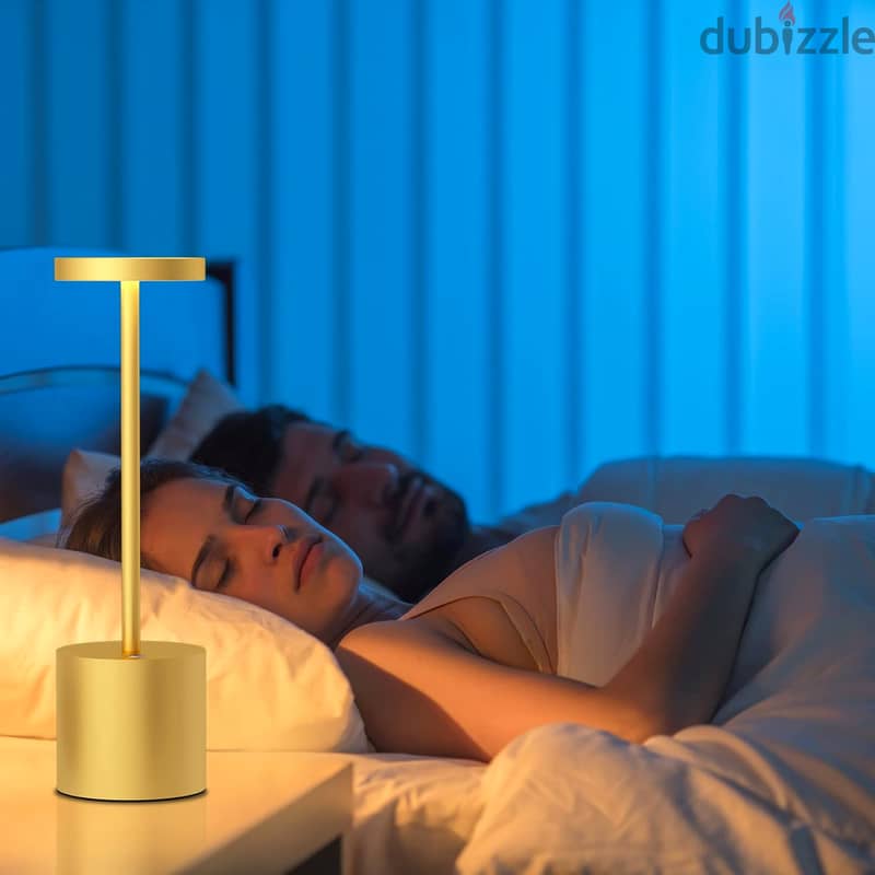 Modern Iron Table Lamp with Rechargeable, Dimmable LED Light 7