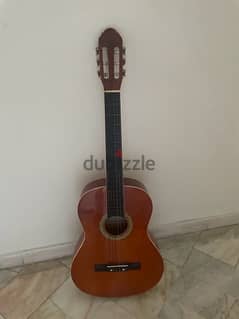 acoustic guitar