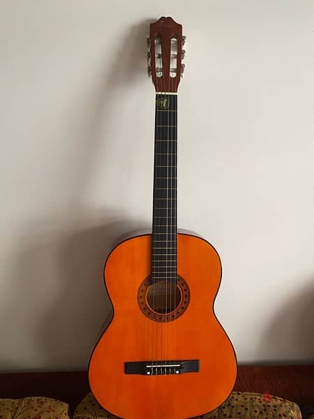 Classical Guitar 1