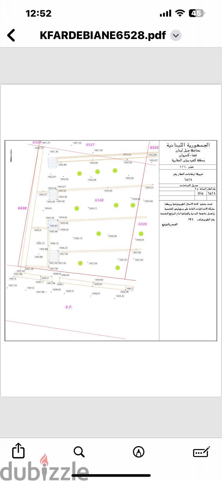 Beautiful Corner lot Faraya behind San Antonio Hotel 4