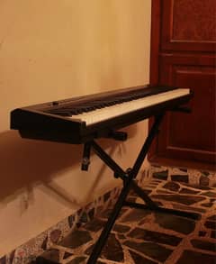 calypso full size digital piano PK1