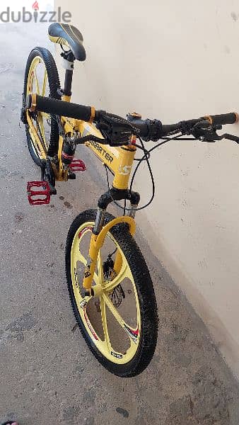 24" foldable bike 1