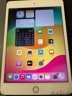 Ipad Mini 5 (5th generation) 64 GB Gold