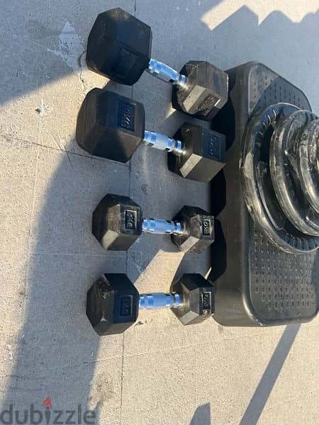 Olympic Weight Plates, Dumbbells & Other 1