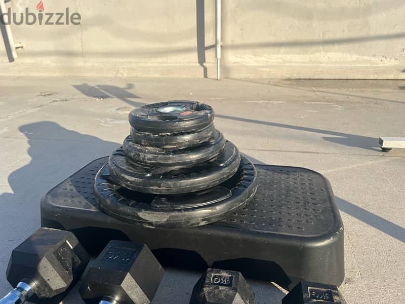 Olympic Weight Plates, Dumbbells & Other 2