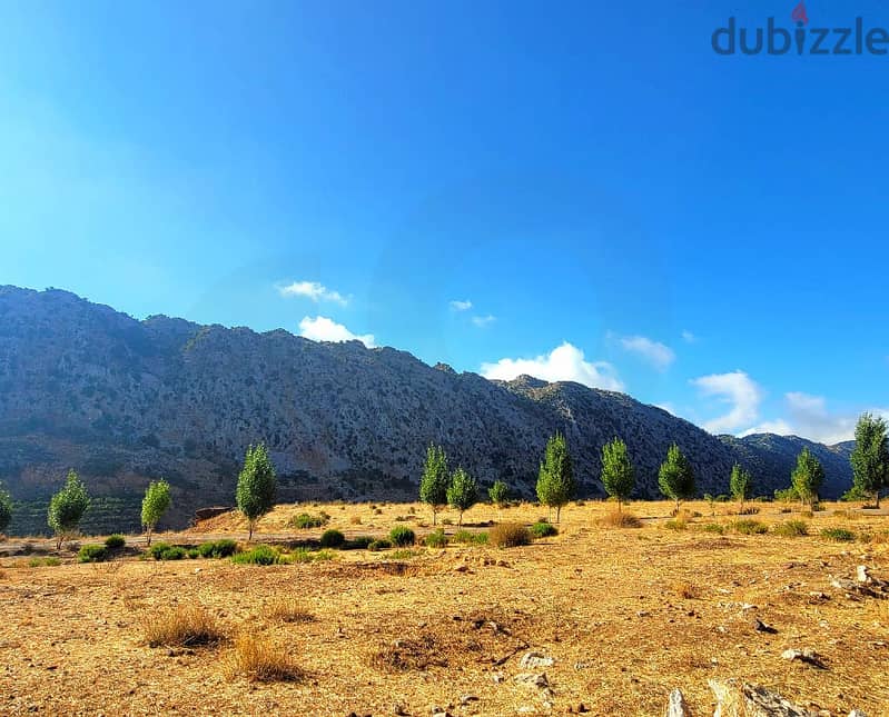 2 PLOTS | 1950 SQM | FLAT LAND | JBEIL, LAQLOUQ/اللقلوق REF#JE112930 2