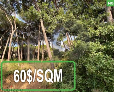 beautiful land- FOREST - Ain Enoub, Aley/عين عنوب, عاليه REF#NG112946