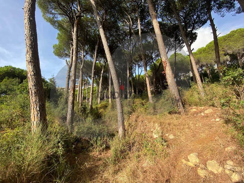 beautiful land- FOREST - Ain Enoub, Aley/عين عنوب, عاليه REF#NG112946 1