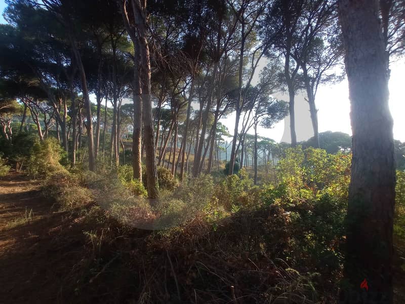 beautiful land- FOREST - Ain Enoub, Aley/عين عنوب, عاليه REF#NG112946 2