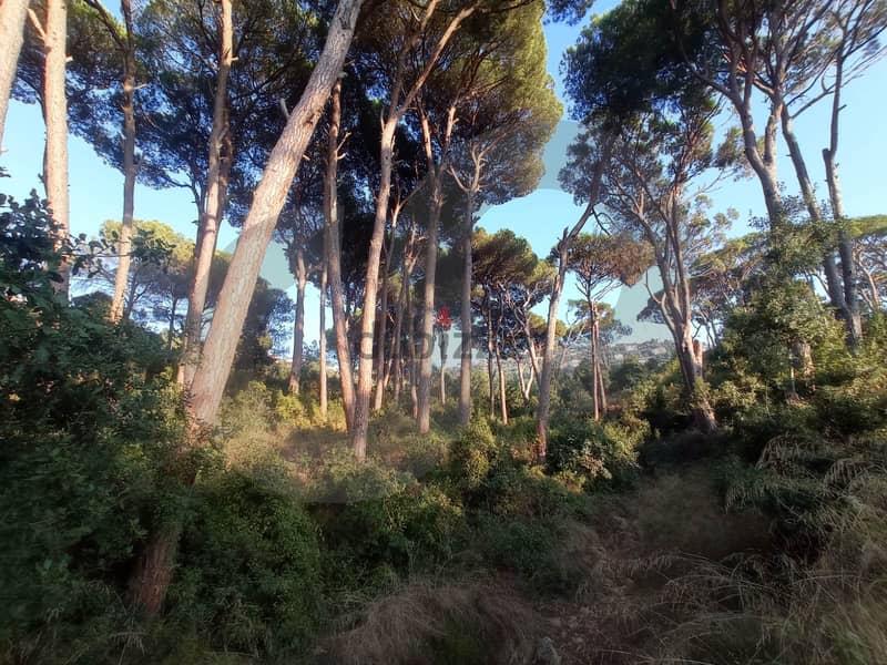 beautiful land- FOREST - Ain Enoub, Aley/عين عنوب, عاليه REF#NG112946 6