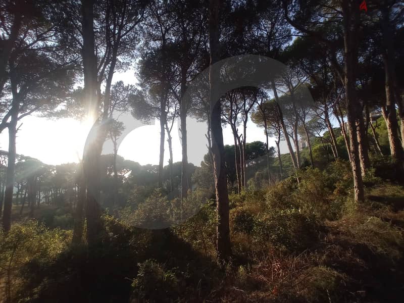 beautiful land- FOREST - Ain Enoub, Aley/عين عنوب, عاليه REF#NG112946 7