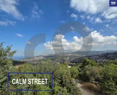 CALM STREET, PETS FRIENDLY, METN, BEKFAYA/بكفيا REF#TF112949