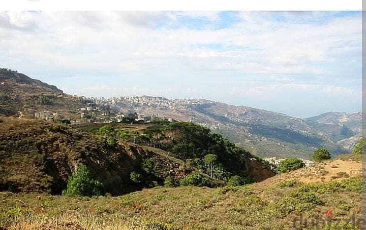 Piece of Land for Sale in Klayaat/ قطعة أرض  للبيع في  القليعات 0