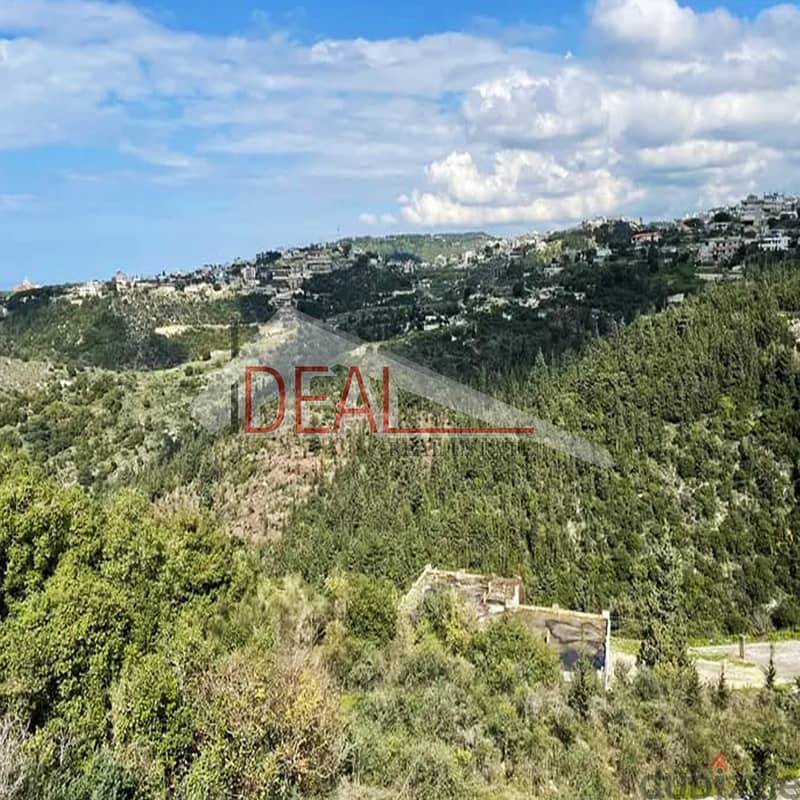 Land for sale in Fatqa 5000 sqm ref#FD18053 1