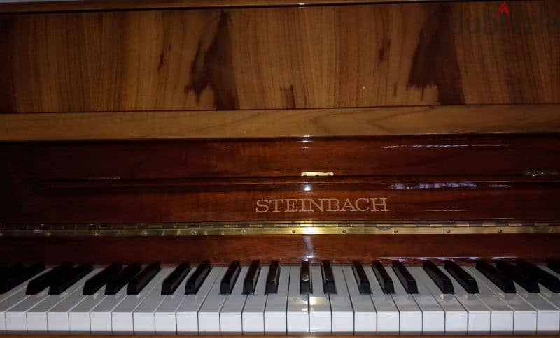 Steinbach Piano 2