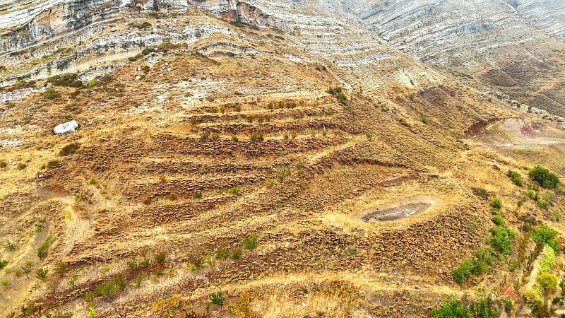 تلة مشرفة على الأرز ملاصقة بالمشاع سعرها مغري جدا 11