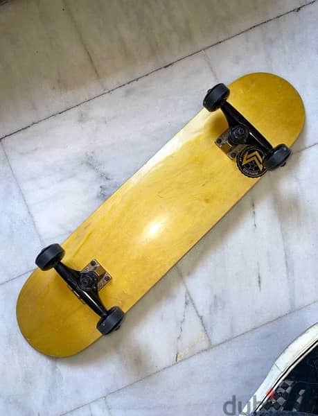 Mini Logo Skateboard Full Set Up 1