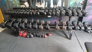 serie hexagon dumbbells gd conditions  03027072 GEO SPORT 0