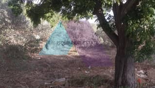 A 1092 m2 land for sale in Batroun/Hamet